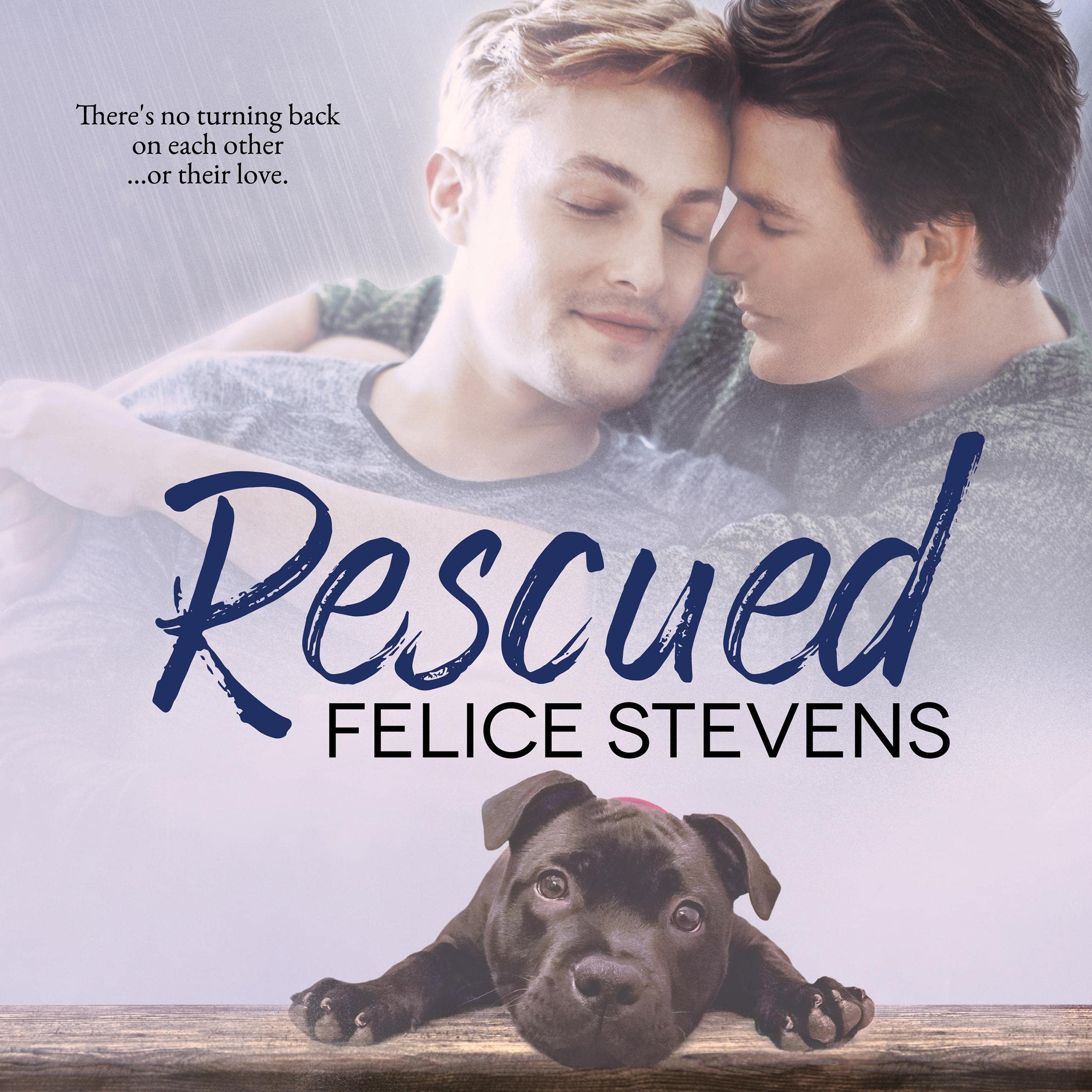 Cover art for Rescued