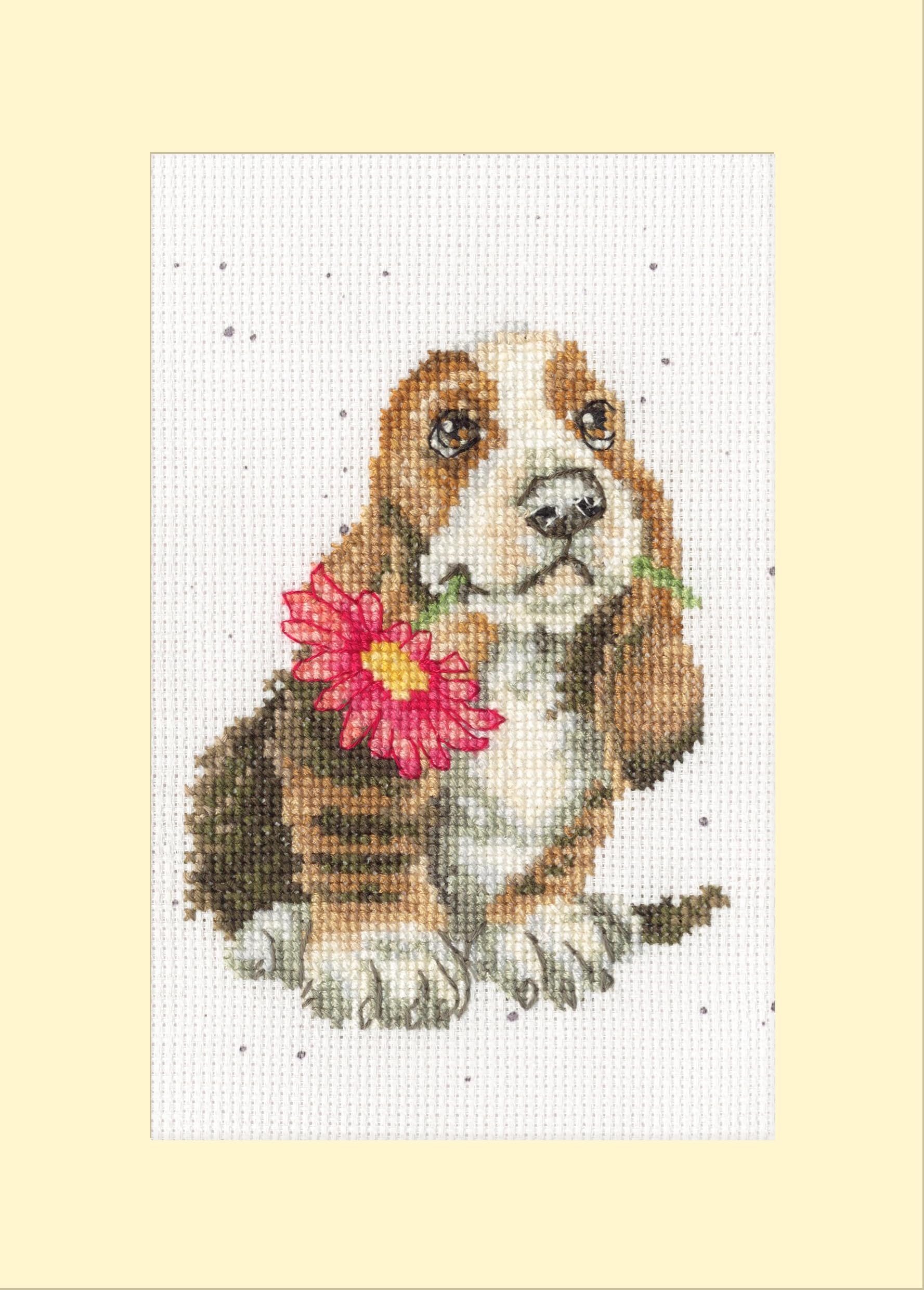 Bothy Threads Multi 'Especially For You' Counted Cross Stitch Card Kit
