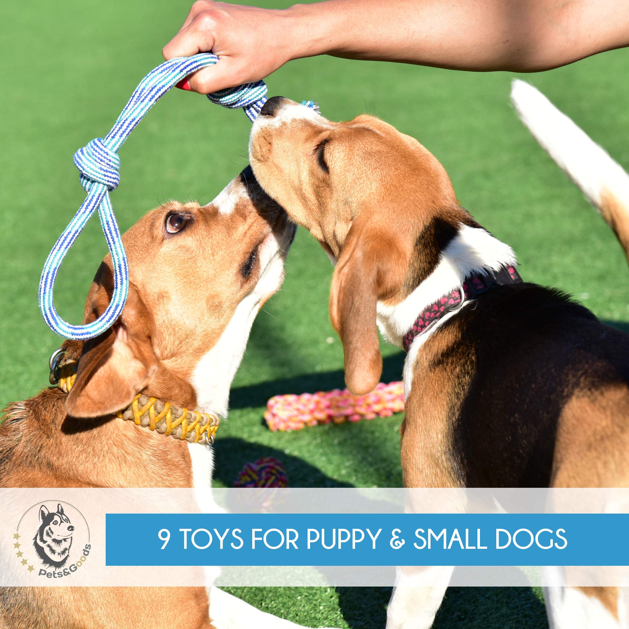 Hundespielzeug – Welpen-Kauspielzeug – Seilspielzeug für kleine Hunde – sicheres Welpen-Zahnenspielzeug – Kauspielzeug für kleine Hunde – Zahnen-Welpenspielzeug – Hundespielzeug – Hundespielzeug 9