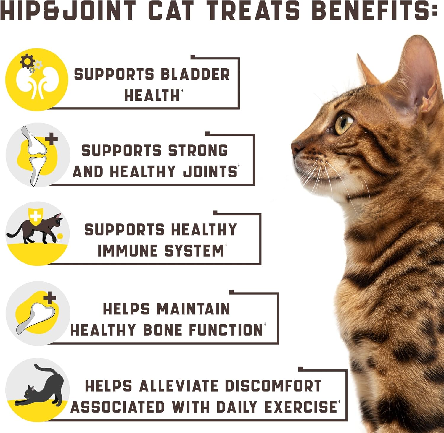 Kinpur Pet Care Natural Glucosamine for Cats - Effective Cat Joint Supplement That Helps Improve Flexibility and Mobility - Hip and Joint Support for Cats - American Quality (135 Chews (Pack of 1)) : Pet Supplies