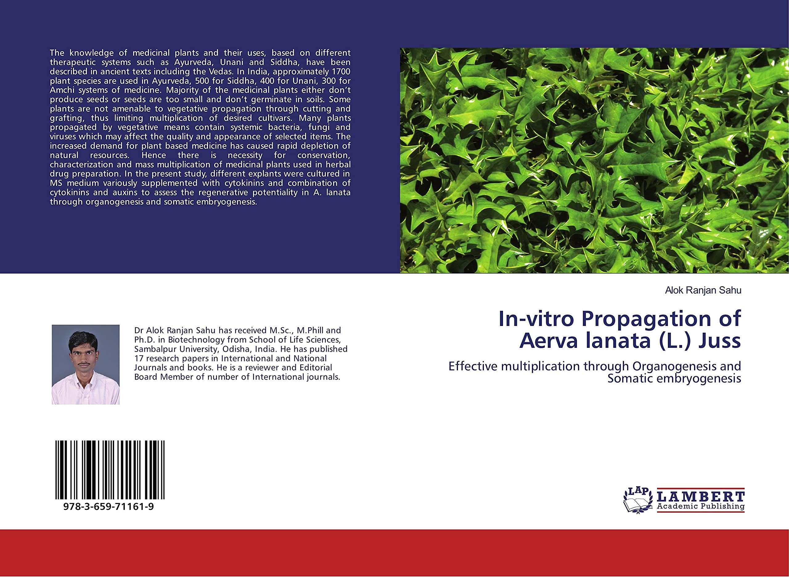In-vitro Propagation of Aerva lanata (L.) Juss: Effective multiplication through Organogenesis and Somatic embryogenesis