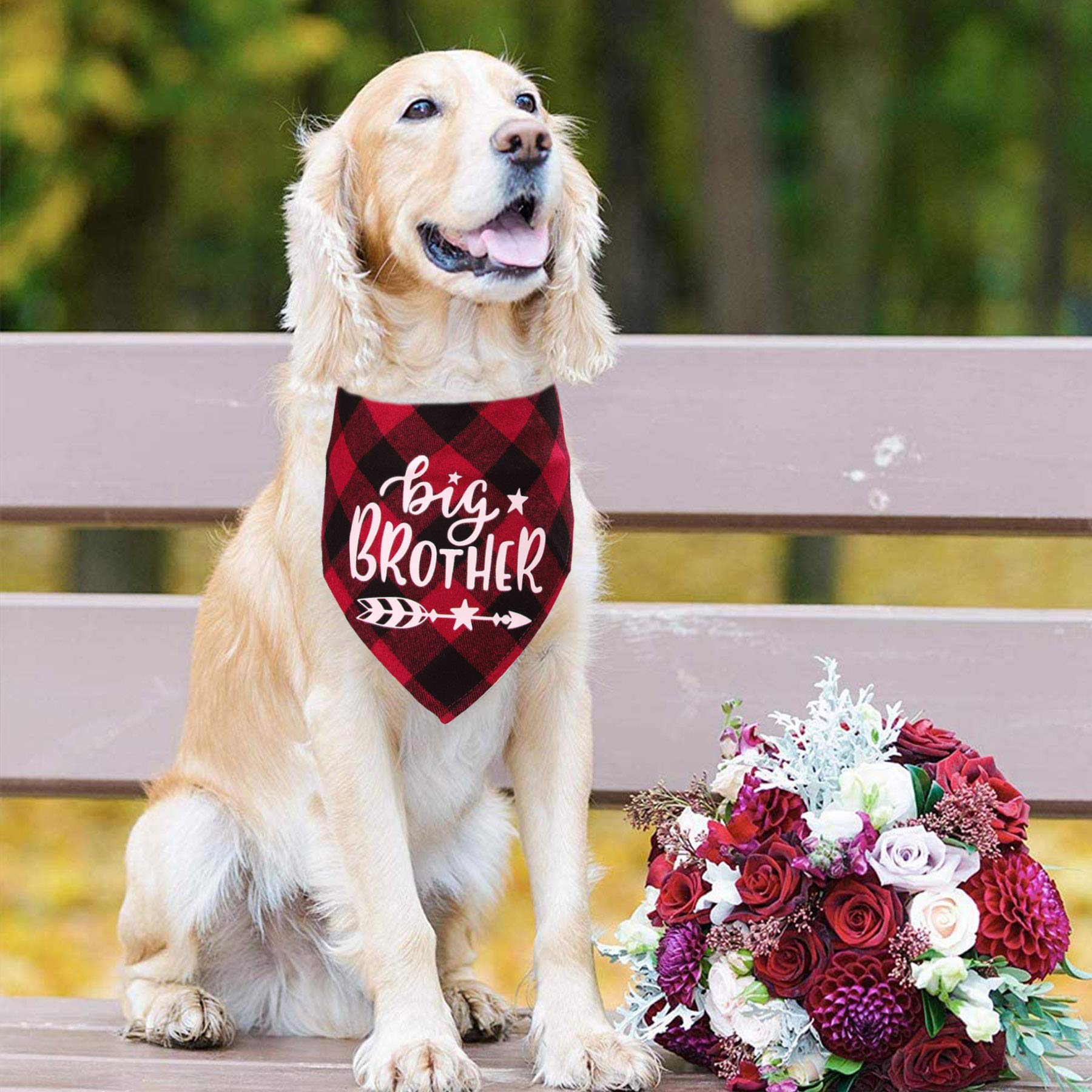 Bandana Per Cane "Big Sister" A Quadri - Per Annunci Gravidanza, Rosa E Nero, Cotone, Regolabile