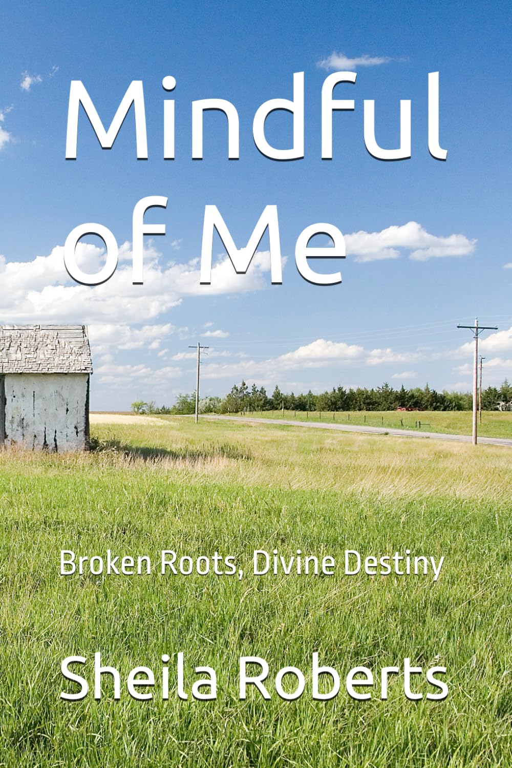 Mindful of Me: Broken Roots, Divine Destiny