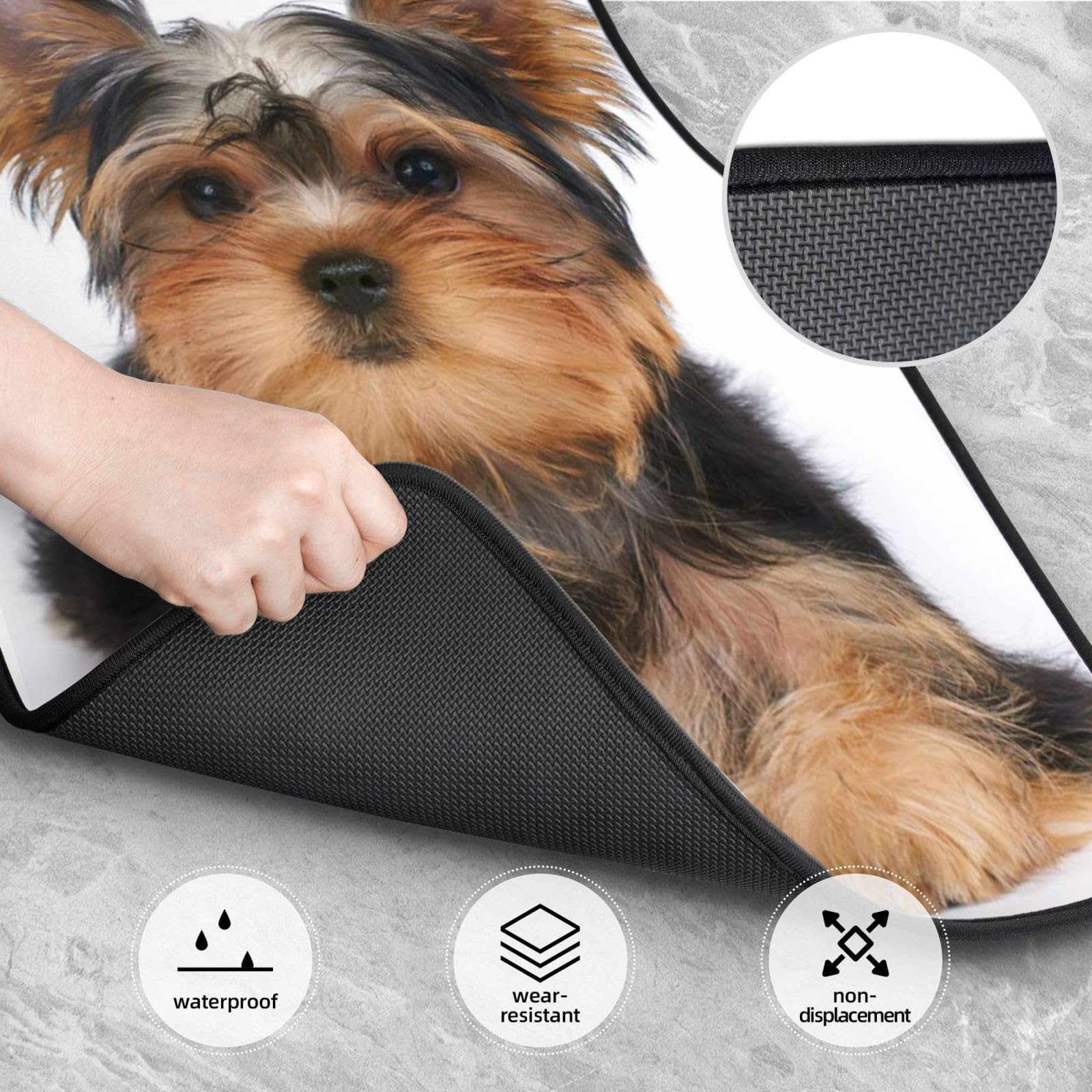 Yorkshire Terrier liegt auf Weiß, 4er-Set Auto-Fußmatten, Neopren-Fußmatten für Fahrzeuge, rutschfeste Auto-Fußmatten, Autozubehör