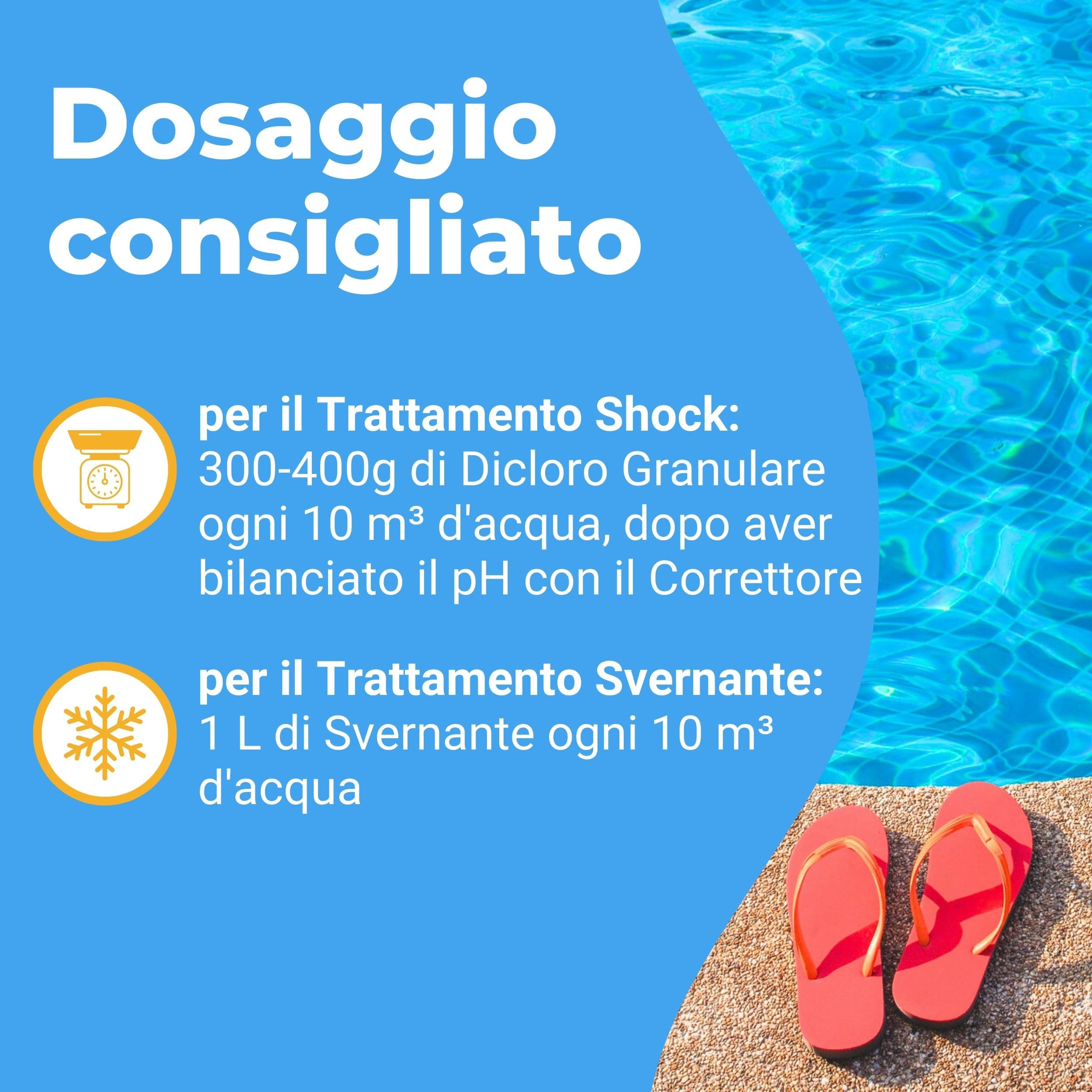 Kit Svernamento Professionale per Piscina, Set Completo Chiusura Invernale con Svernante, Dicloro Shock, pH Meno e Accessori, Valigetta Salvaspazio, per Piscine fino a 40 m³