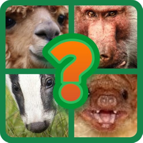 Animal Faces Picture Quiz