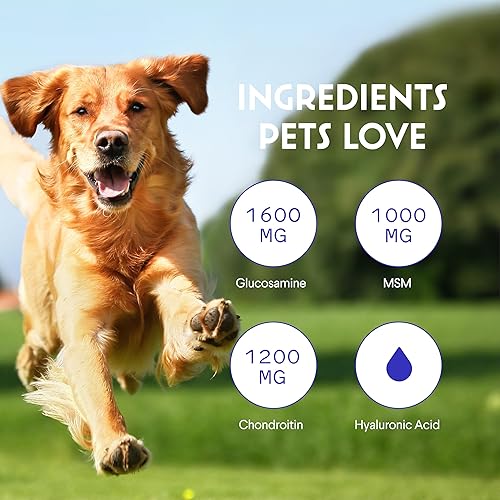 Miniatura 5 de WONDER PAWS Glucosamina líquida prémium para perros, apoyo articular de fuerza, flexibilidad, cartílago y movilidad, suplemento de cadera y