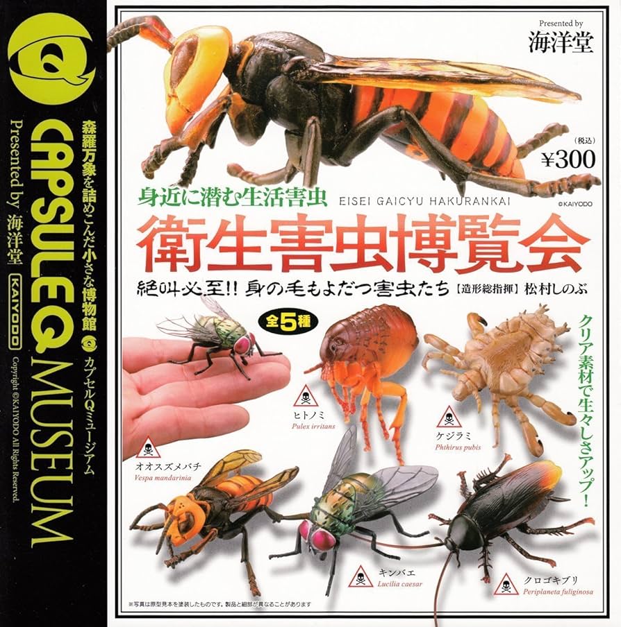 衛生害虫博覧会 51n14VESgIL._UF350,350_QL80_.jpg
