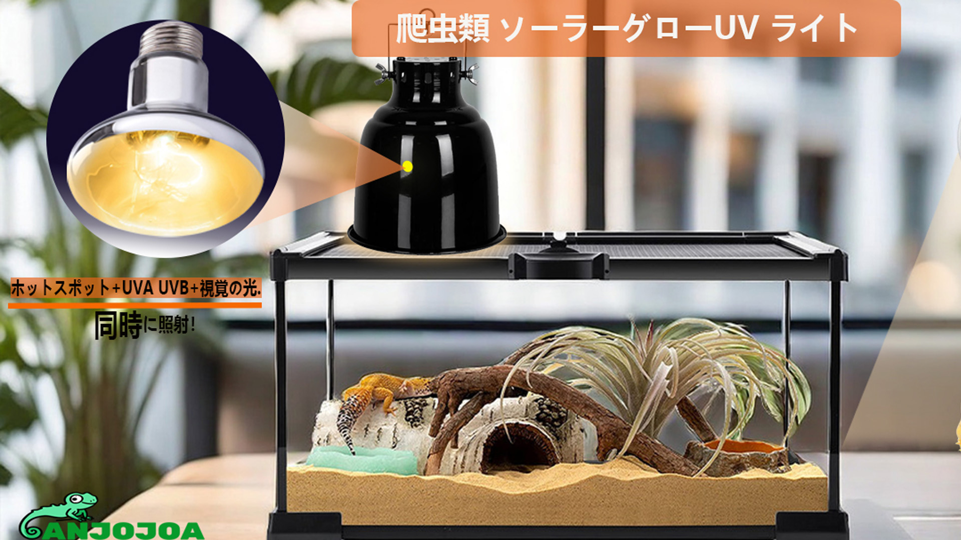 まとめ買いで値引き】 SOLAR GLO UVランプ 80W 公式通販サイト