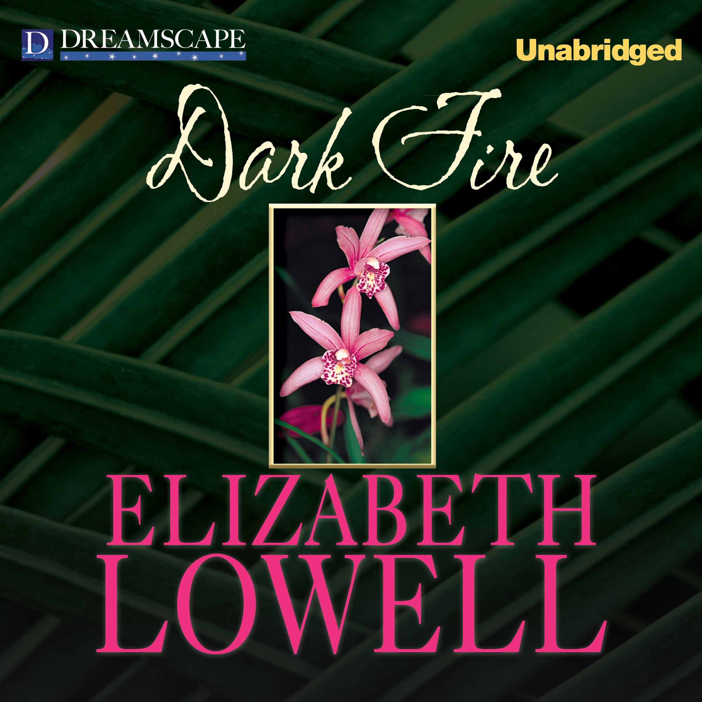 Cover art for Dark Fire