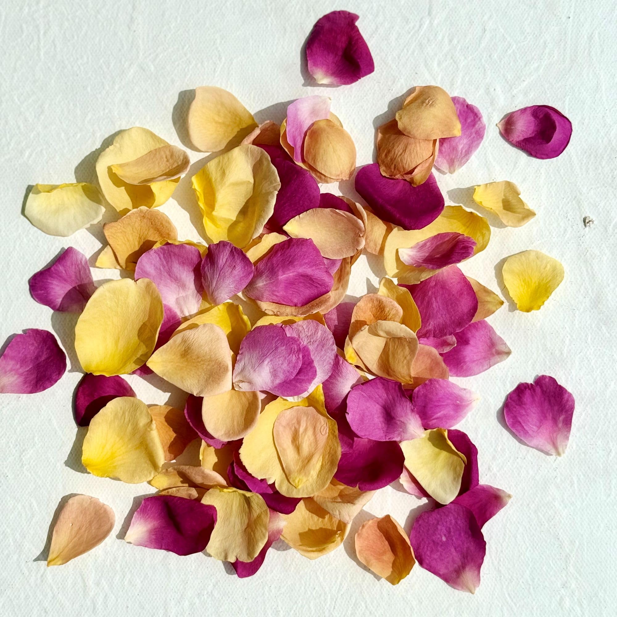 Edible Petals - 200ml - Freeze Dried Multicoloured Rose - Certified Food Grade (395)