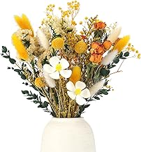 Pack of 30 Decorative Dried Flowers, Dried Flowers Natural Plants Rose Bouquet, Gypsophila for Vase Favors Resin Candles Albums Gift