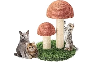 Charming Pumpkin House Cat Bed: A Tranquil Haven for Your Feline Friends