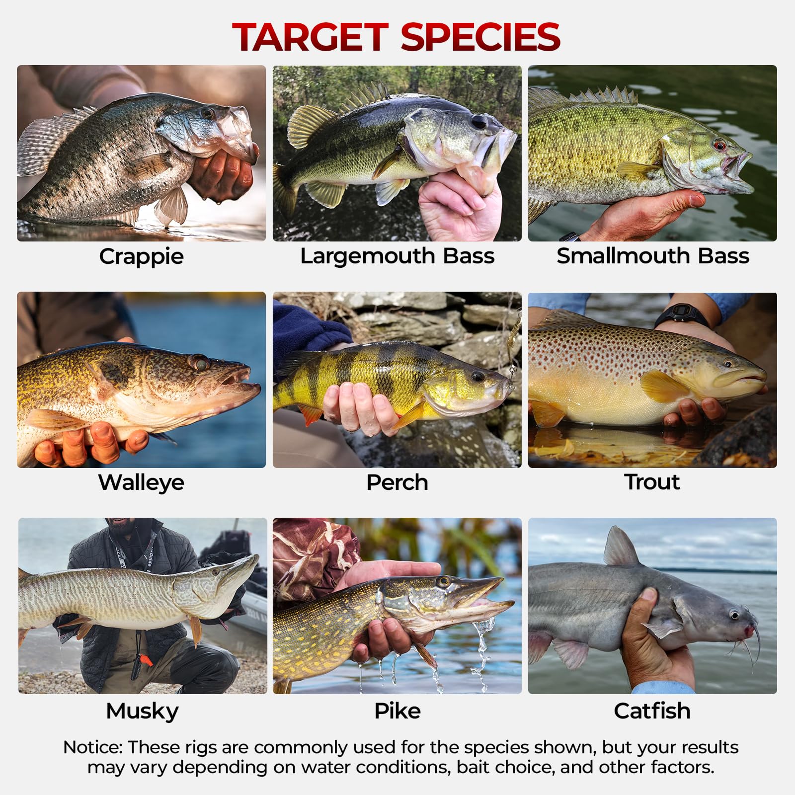 MadBite by KastKing 182/265/400pcs Compact Fishing Tackle Kit - All-in-One Freshwater Hooks, Weights, Bobbers in Tackle Box, Fishing Gear Set for Bass Trout Panfish