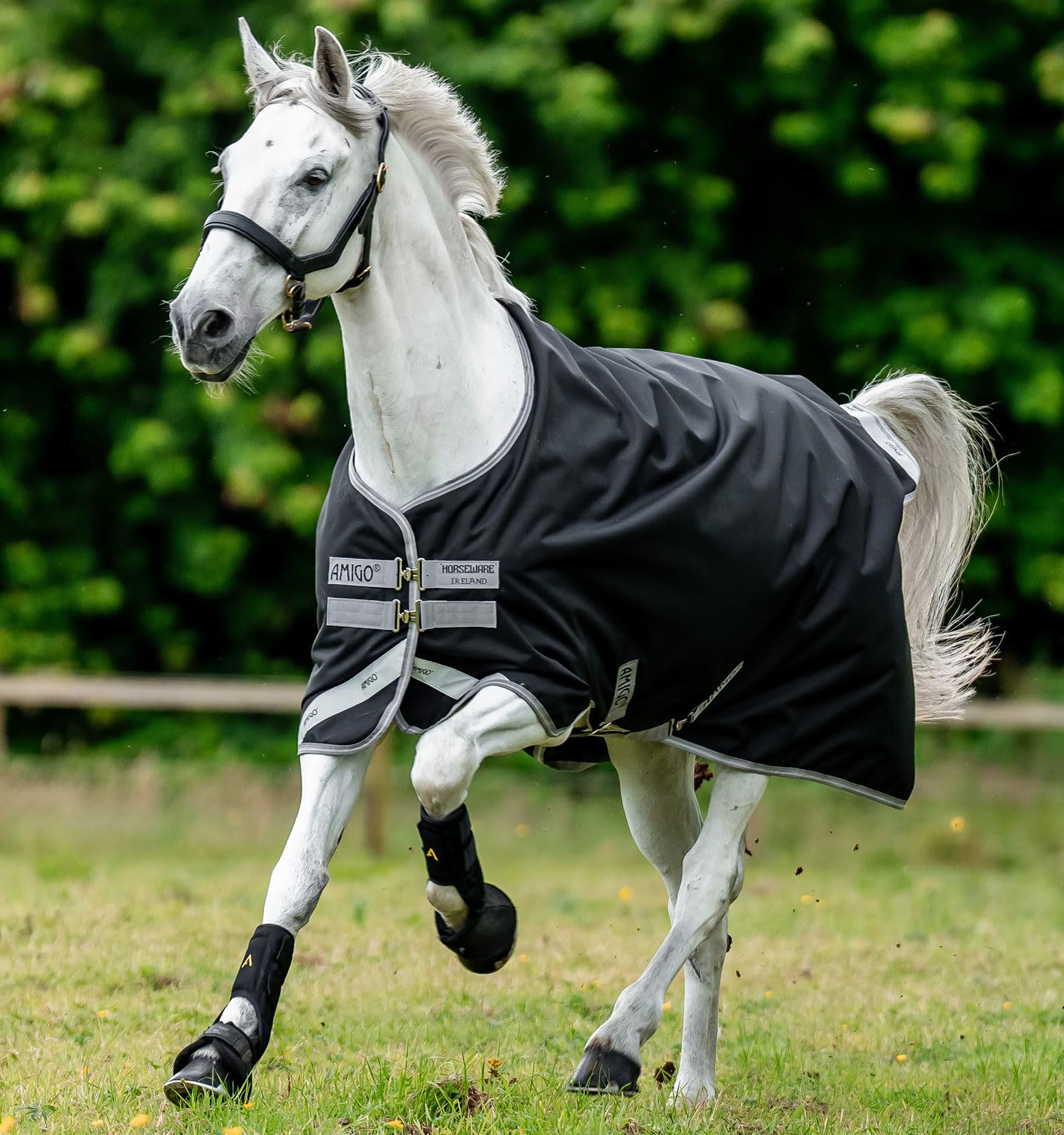 Manta Amigo Bravo 12 Original a Hoja 66 impermeable para caballos negro