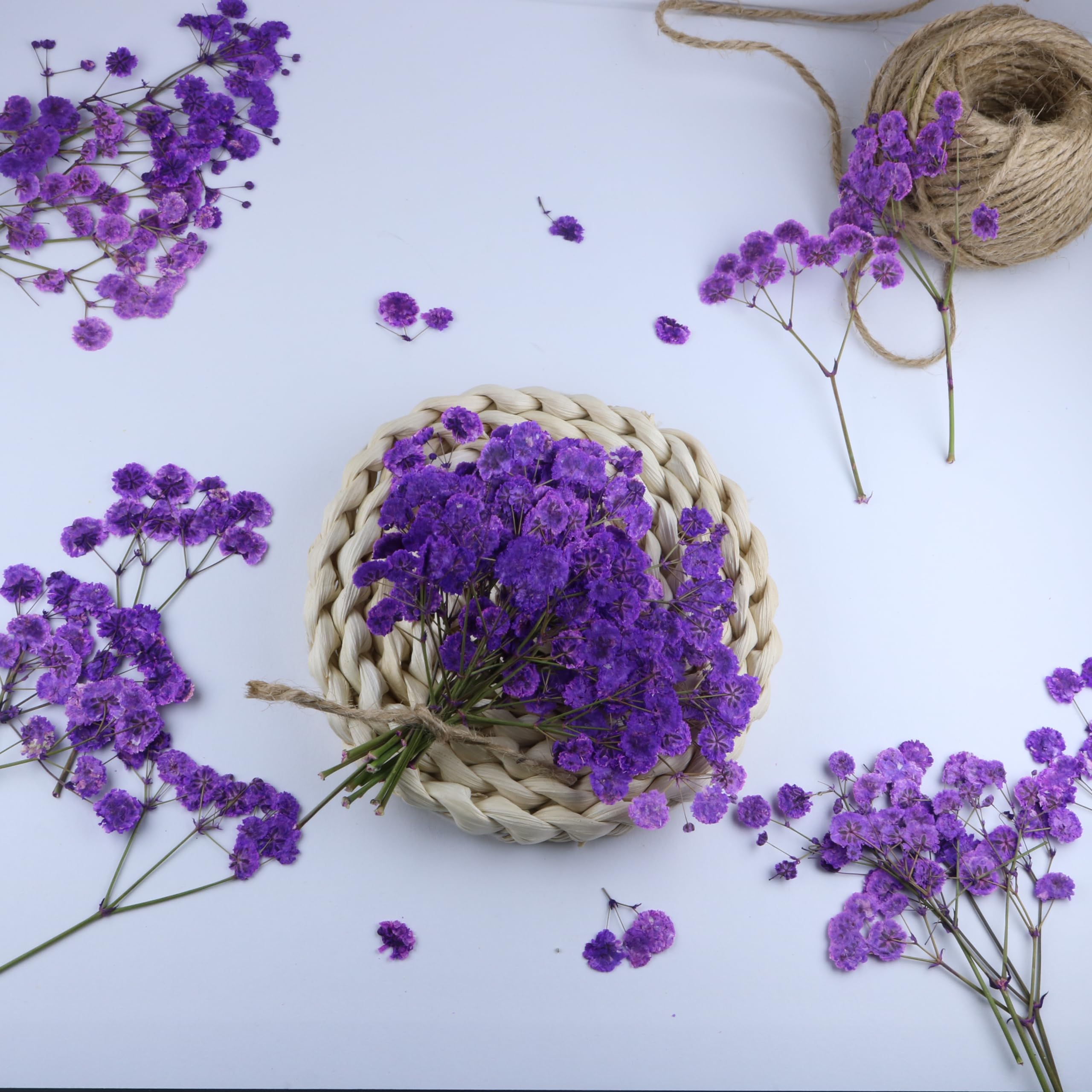 50 Zweige Lila gepresste Blumen Bulk Getrocknete Blumen Kit für Harz Getrocknete Babys Atem Blume Natürlich mit Pinzette für Handwerk Weihnachten DIY Geschenk Scrapbooking Foto Requisiten