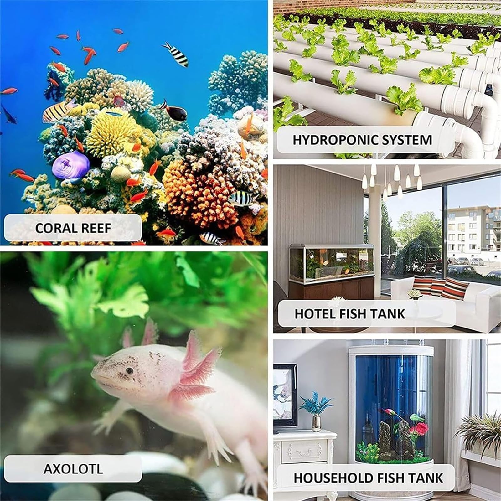 Enfriador de Acuario, máquina refrigeradora de Agua para peceras | Incluye mangueras y bombas, refrigeración por compresor, control de temperatura táctil y funcionamiento silencioso