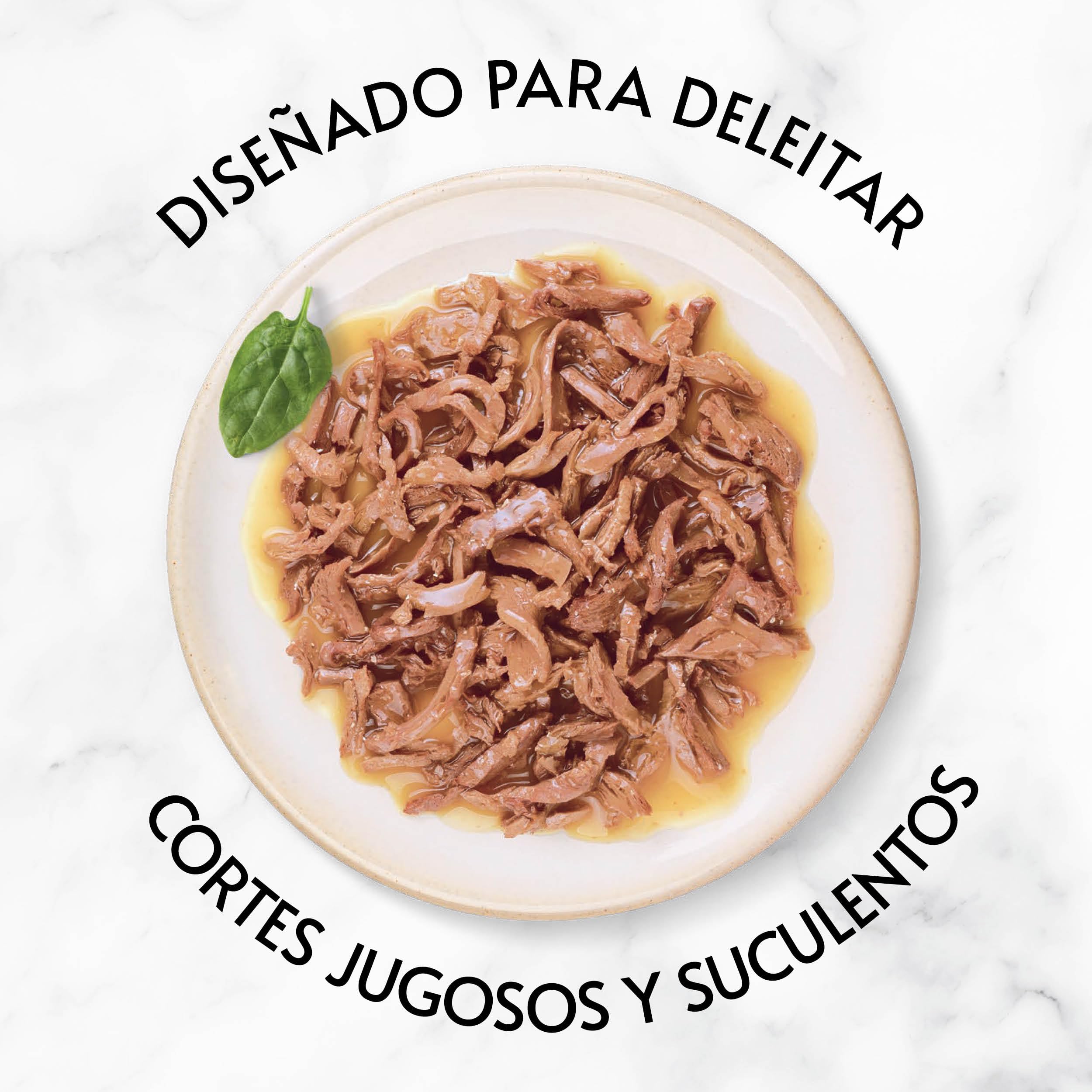 Purina Gourmet Gold Delicias Suculentas, Comida Húmeda para Gato con Pollo, 24 latas de 85g