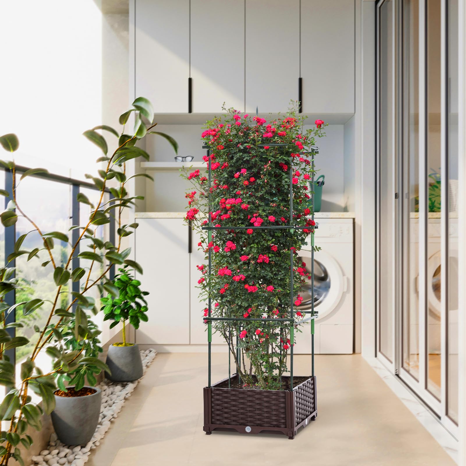 Amazon.co.jp: GROWNEER 47インチ トマトケージ 植物サポート