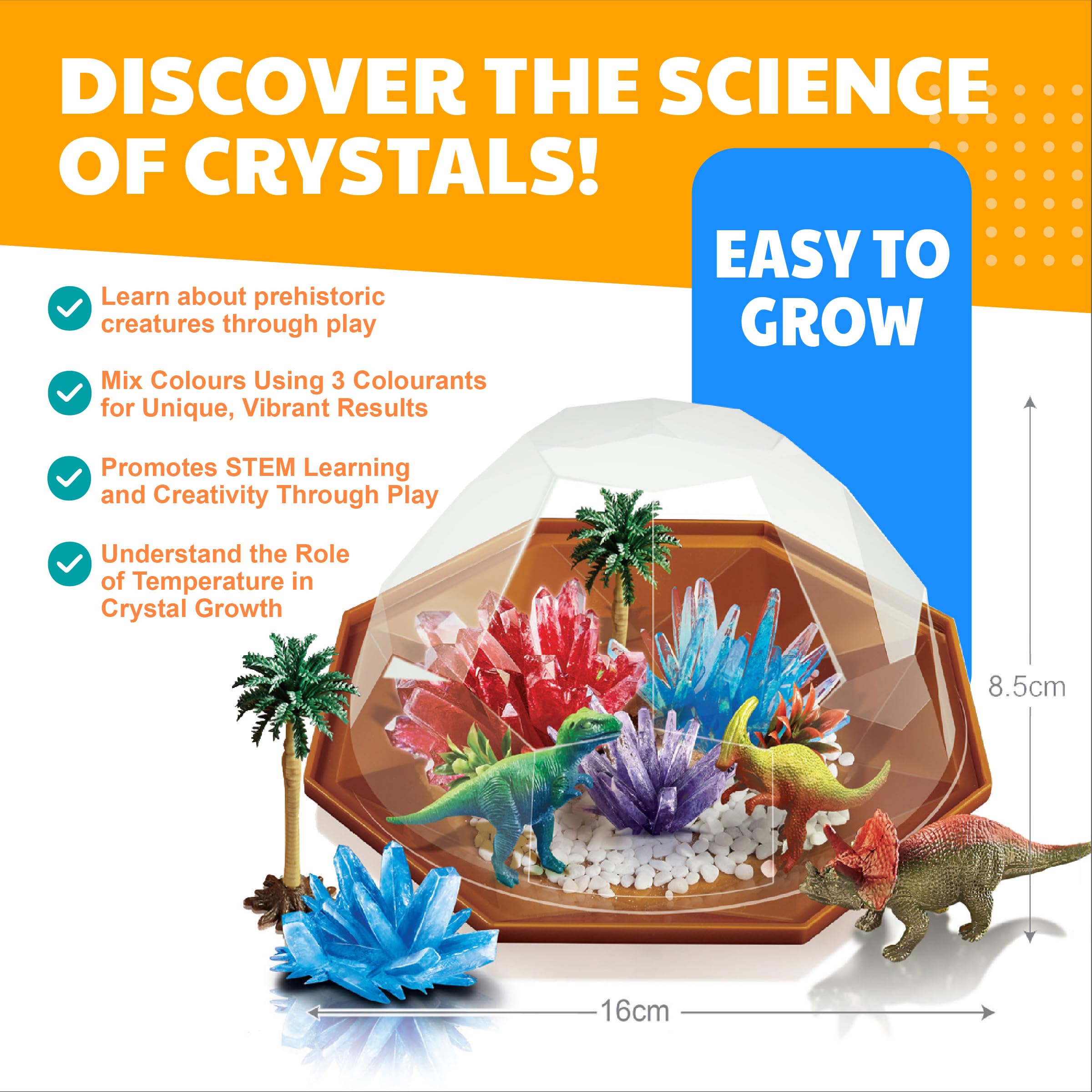 4M Crystal Growing – Dino-Kristall-Anbauset – Entdecken Sie Wissenschaft, Kreativität und STEM-Lernen mit einem lebendigen Terrarium-Set, Benutzerdefinierten Farben und einem lustigen