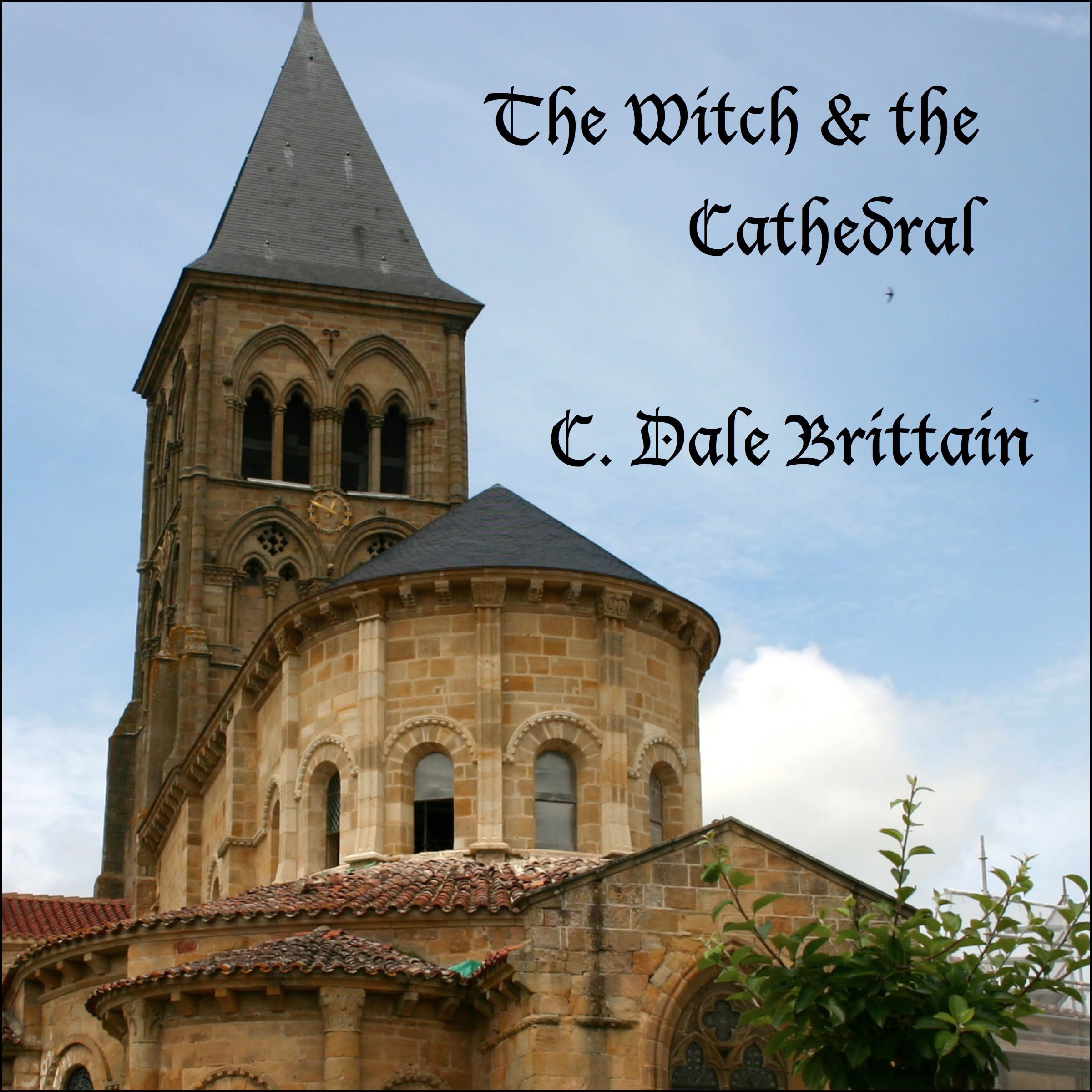 Cover art for The Witch and the Cathedral