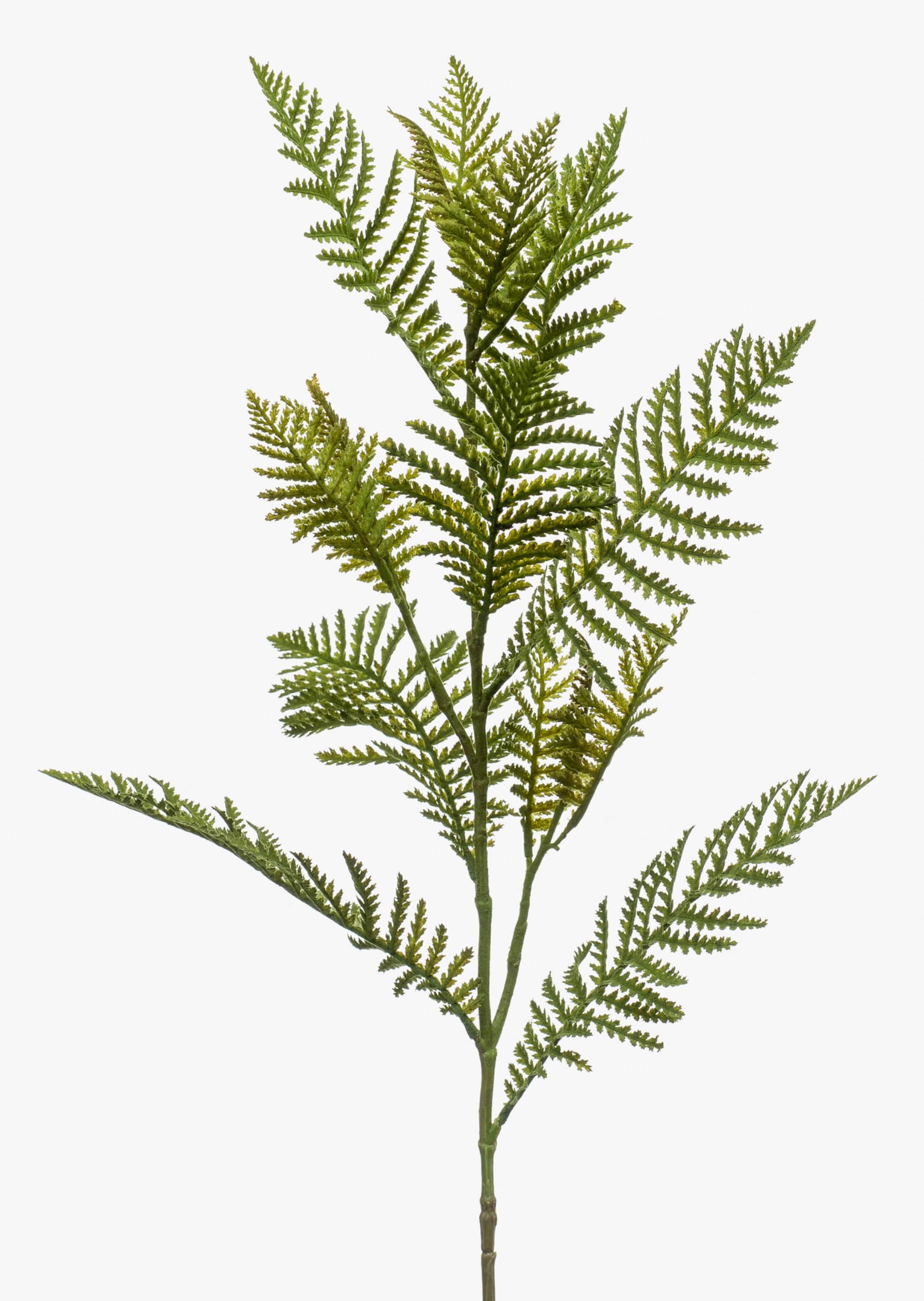 artplants.de Artificial Boston fern spray ENRIKE, green, 31"/80cm - Artificial twig/False fern branch