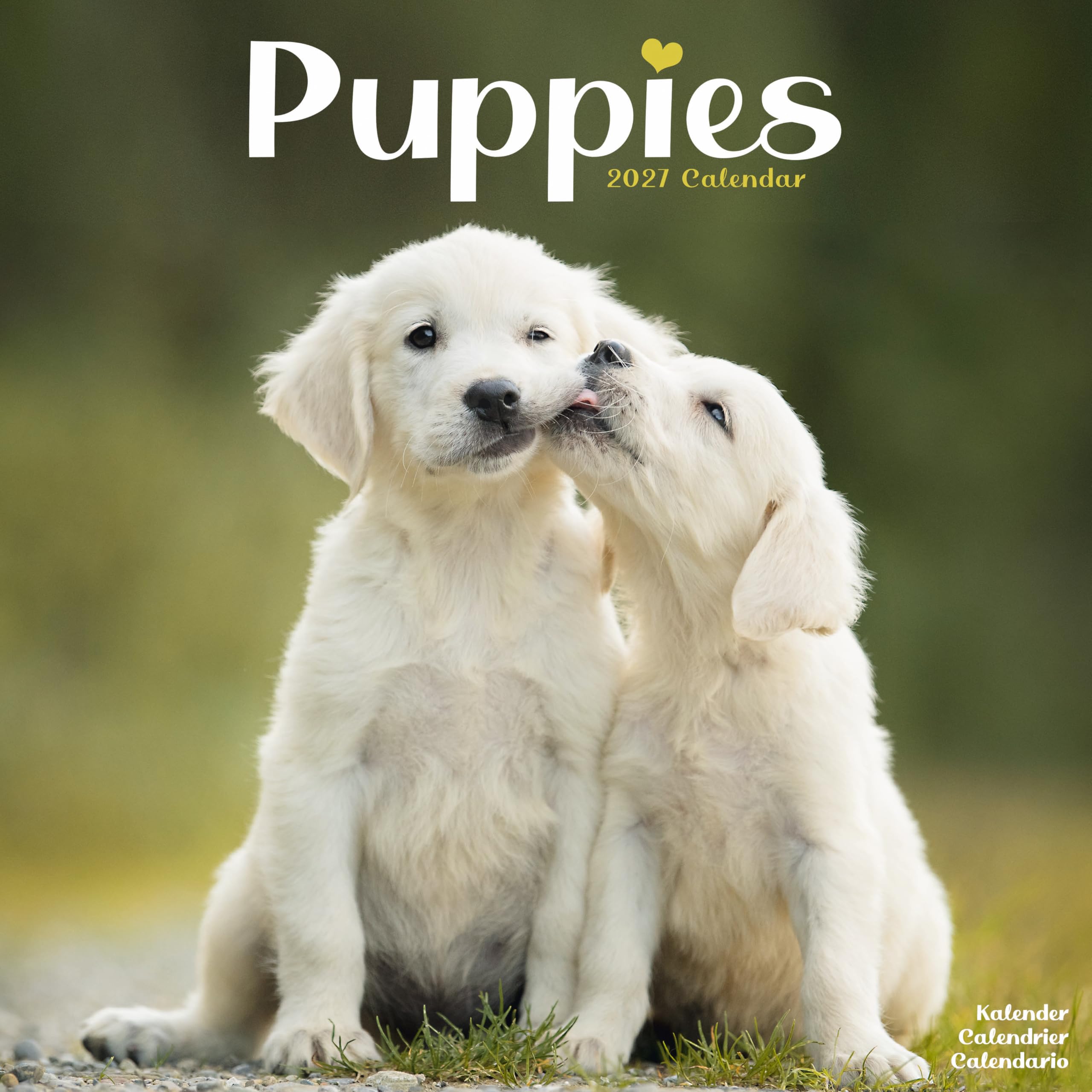 Puppies Calendar 2027, Wall Calendars, Month To View, Dogs, Gift