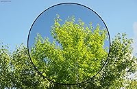 Vista 2 de Canon PowerShot SX540 HS - Kit de filtro de lente de 3 piezas con recubrimiento múltiple y múltiples roscas (incluye adaptador)