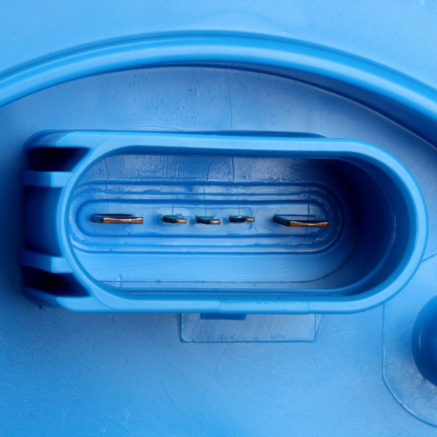 Delphi FG1604 Fuel Module