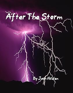 After the Storm: (Short Story) (Free Story Friday Season 1 Book 7) (English Edition)