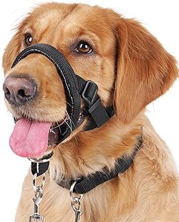 Head Collar For Dogs Picks collage image 4