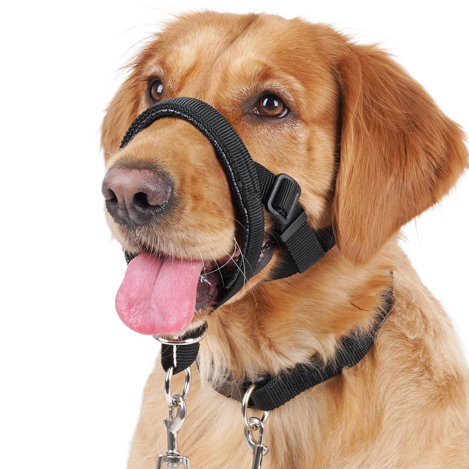 BARKLESS Dog Training Head Collar Stops Pulling and Improves Leash Walking