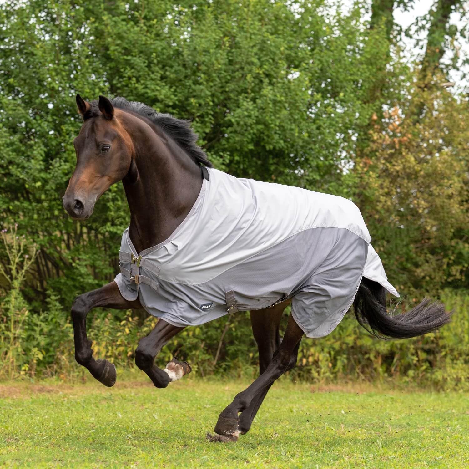 BUSSE Coperta per esterni RAINFLY (grigio, lunghezza schiena 155 cm)