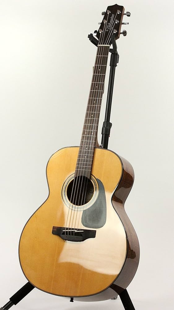 TAKAMINE アコースティックギター スプルースボディ 6弦 TAKAMINE アコースティックギター スプルースボディ 6弦