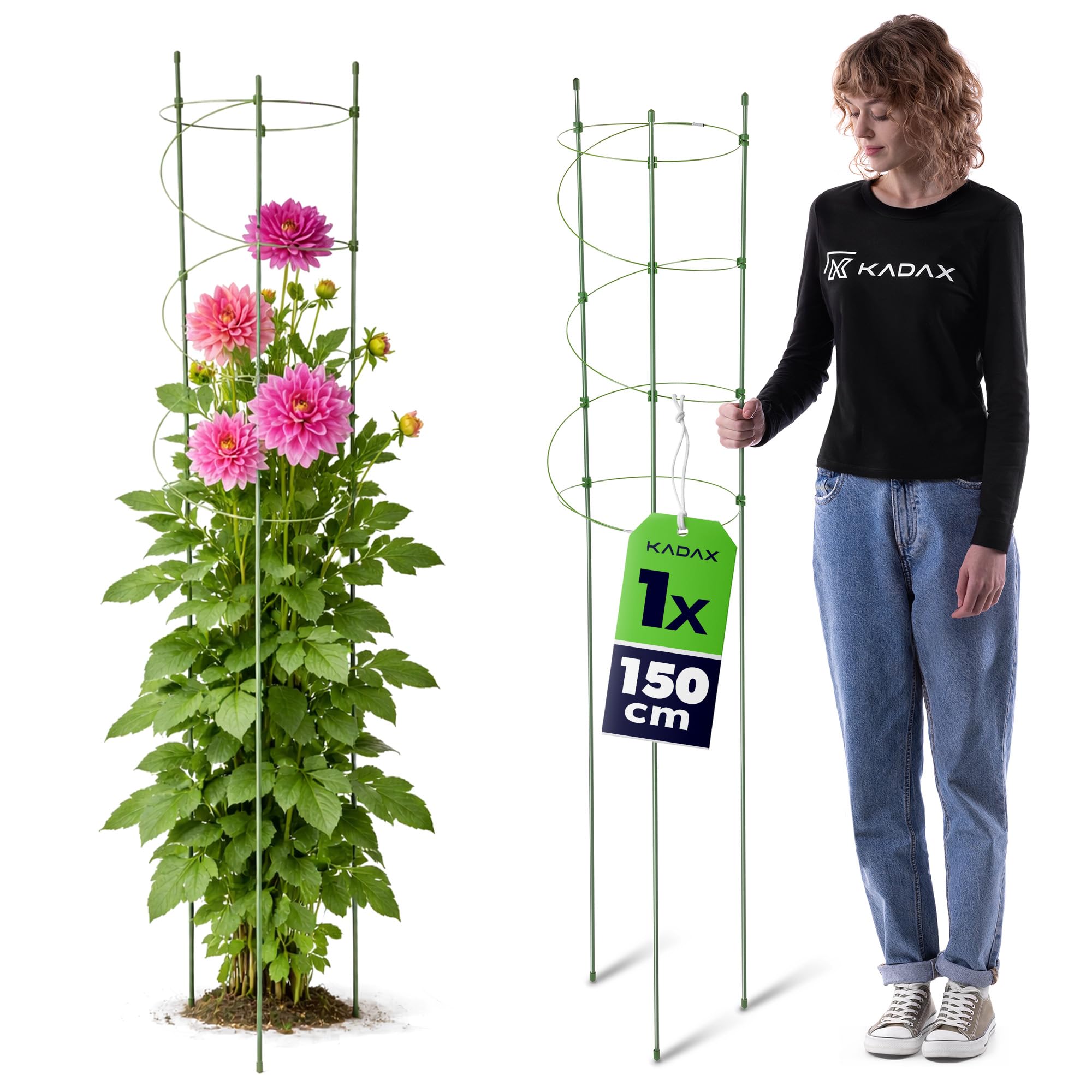 KADAX Pflanzensttze 150 cm, 1 Stck, Staudenhalter aus beschichtetem  Metall, Rund Rankhilfe fr Dahlien, Pfingstrosen und hohe Stauden im  Garten, Pflanzensttzen : Amazon.de: Garten