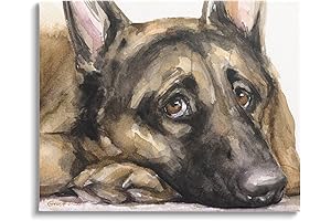 Stupell Industries 24x30 Canvas Gallery-Wrapped, Tired German Shepherd Dog Resting Head On Paw