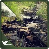 HD display Relaxing water stream