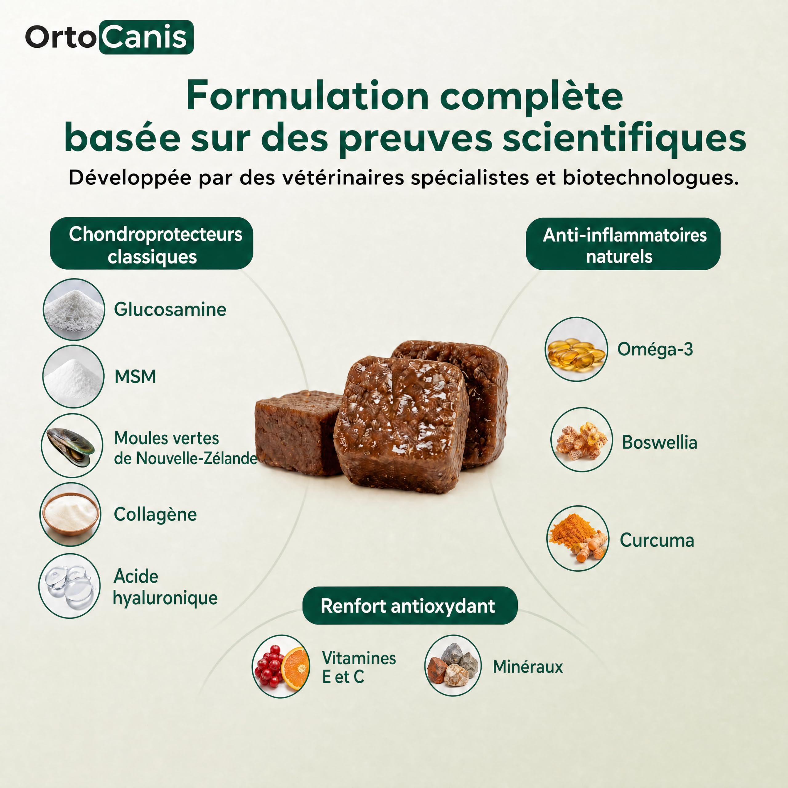 Supplément chondroprotecteur anti-inflammatoire pour chien Ortocanis - 13 ings. Actifs : glucosamine, chondroïtine, MSM, oméga-3 EPA + EVA, curcuma, boswellia serrata, collagène, vitamine E et C