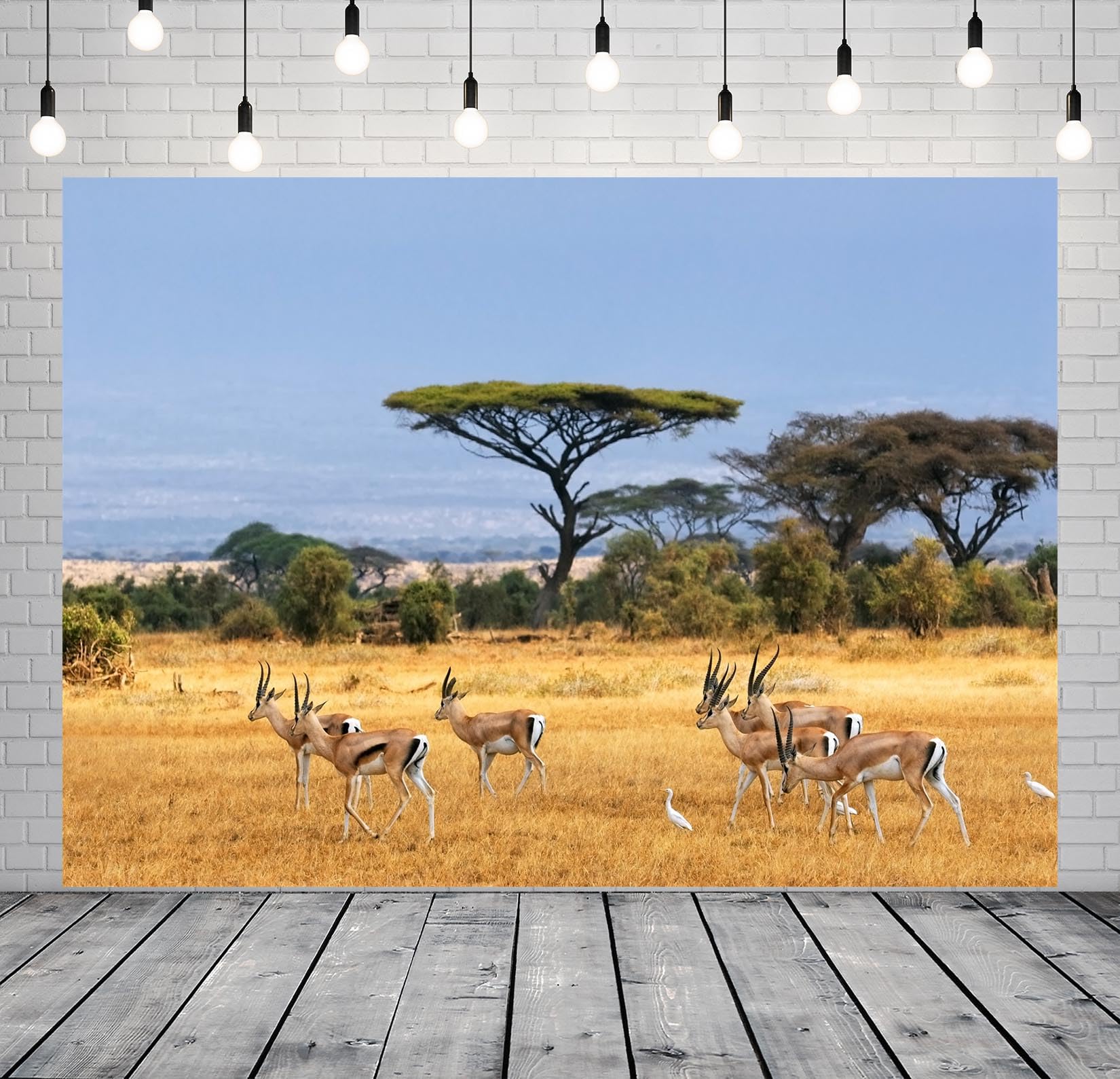 African Safari Landscape Background African Safari Landscapes