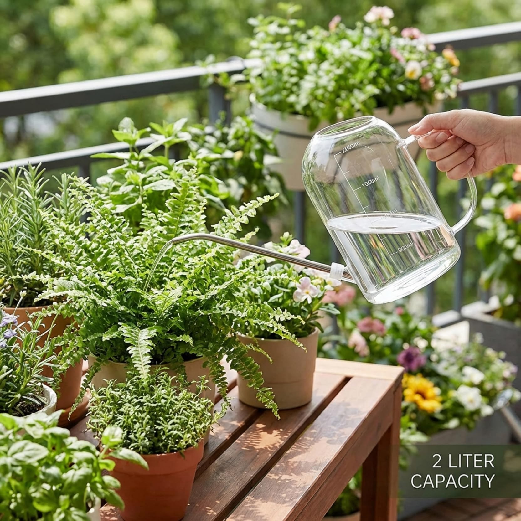 Regadera de Interior de 2 litros, regadera Transparente con Pico Largo de Acero Inoxidable, Mango y aspersor Desmontable para Plantas de Interior, balcón y jardín