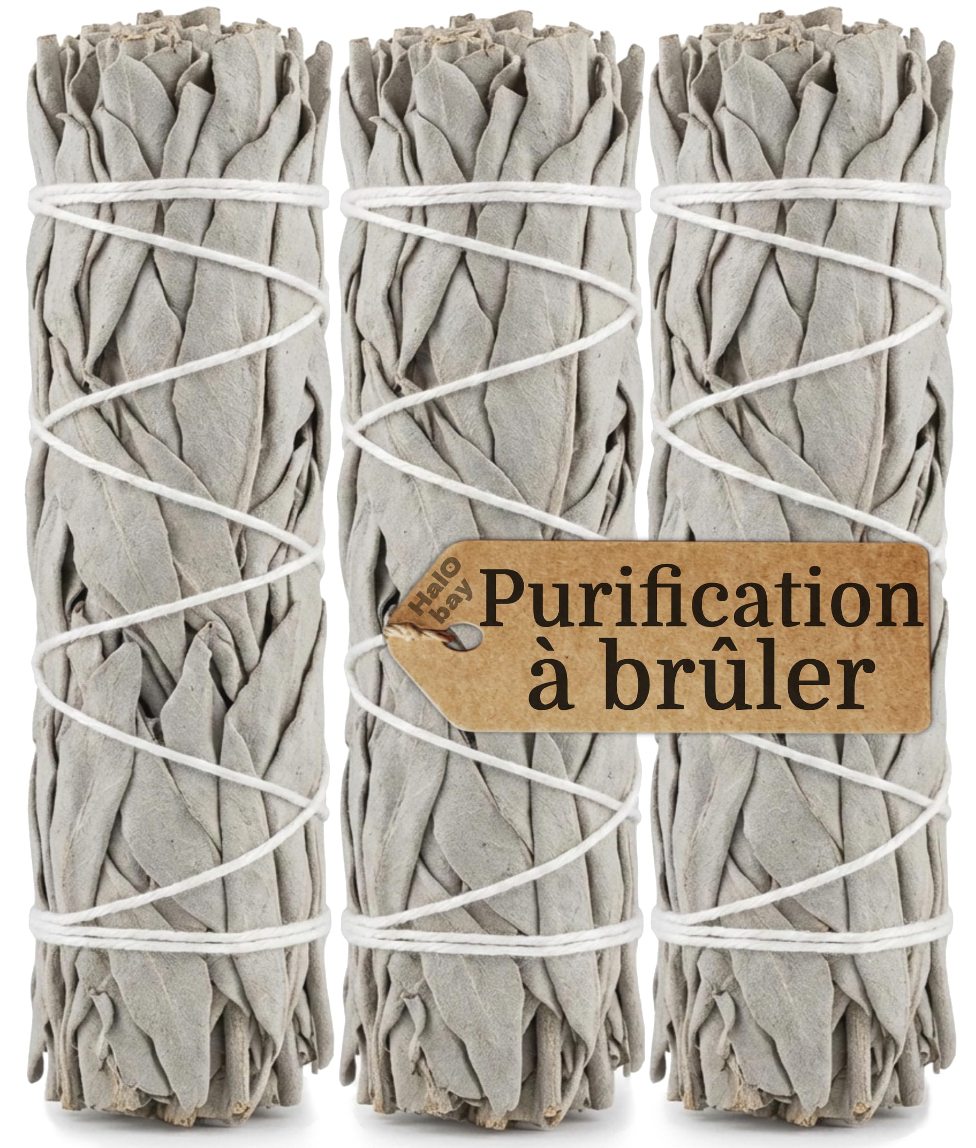 Sauge Blanche Bâton Encens Purification Naturel 10cm Rituel Méditation Yoga Salvia Apiana