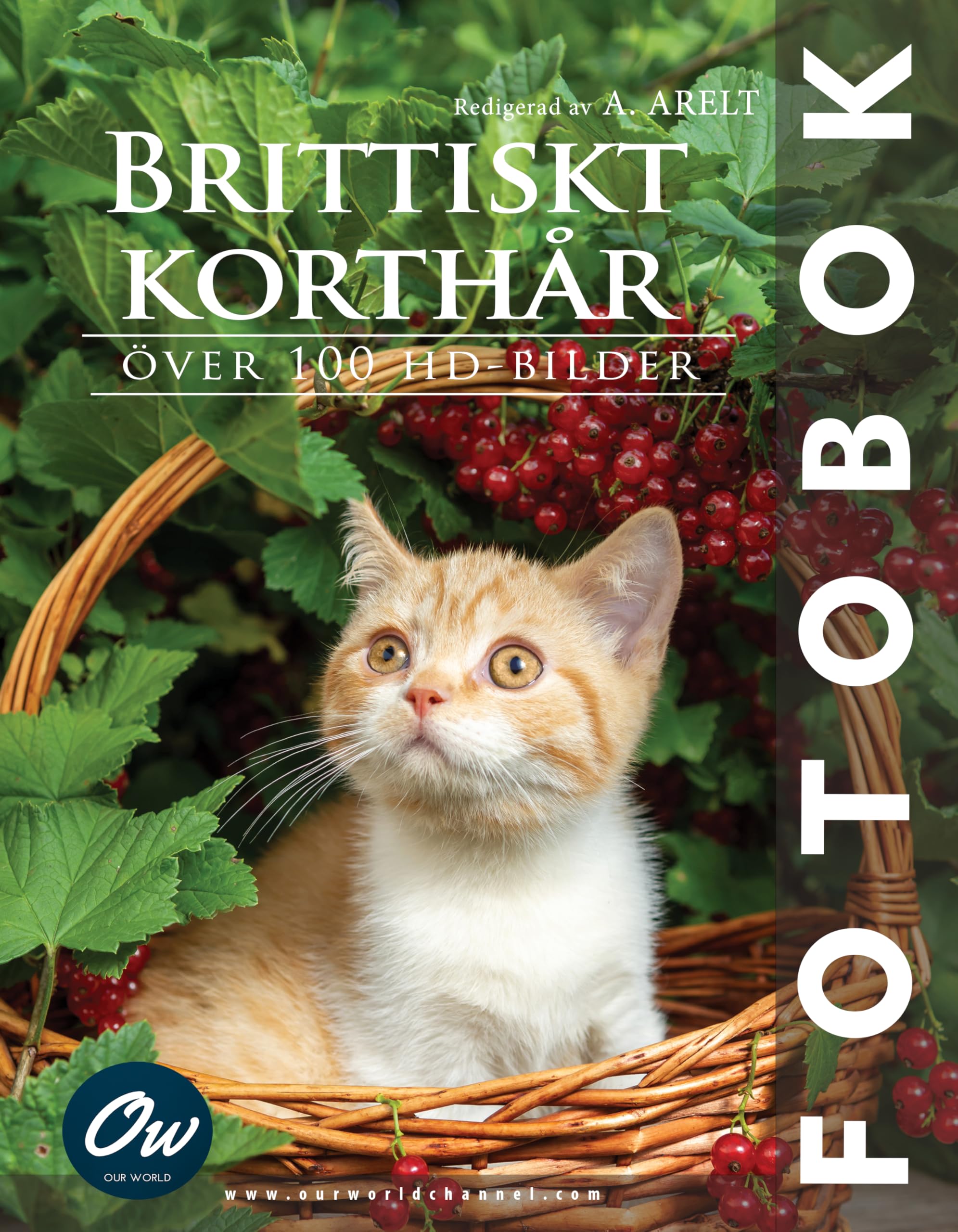 Livre de photos British Shorthair album illustré de chat de race édition suédoise