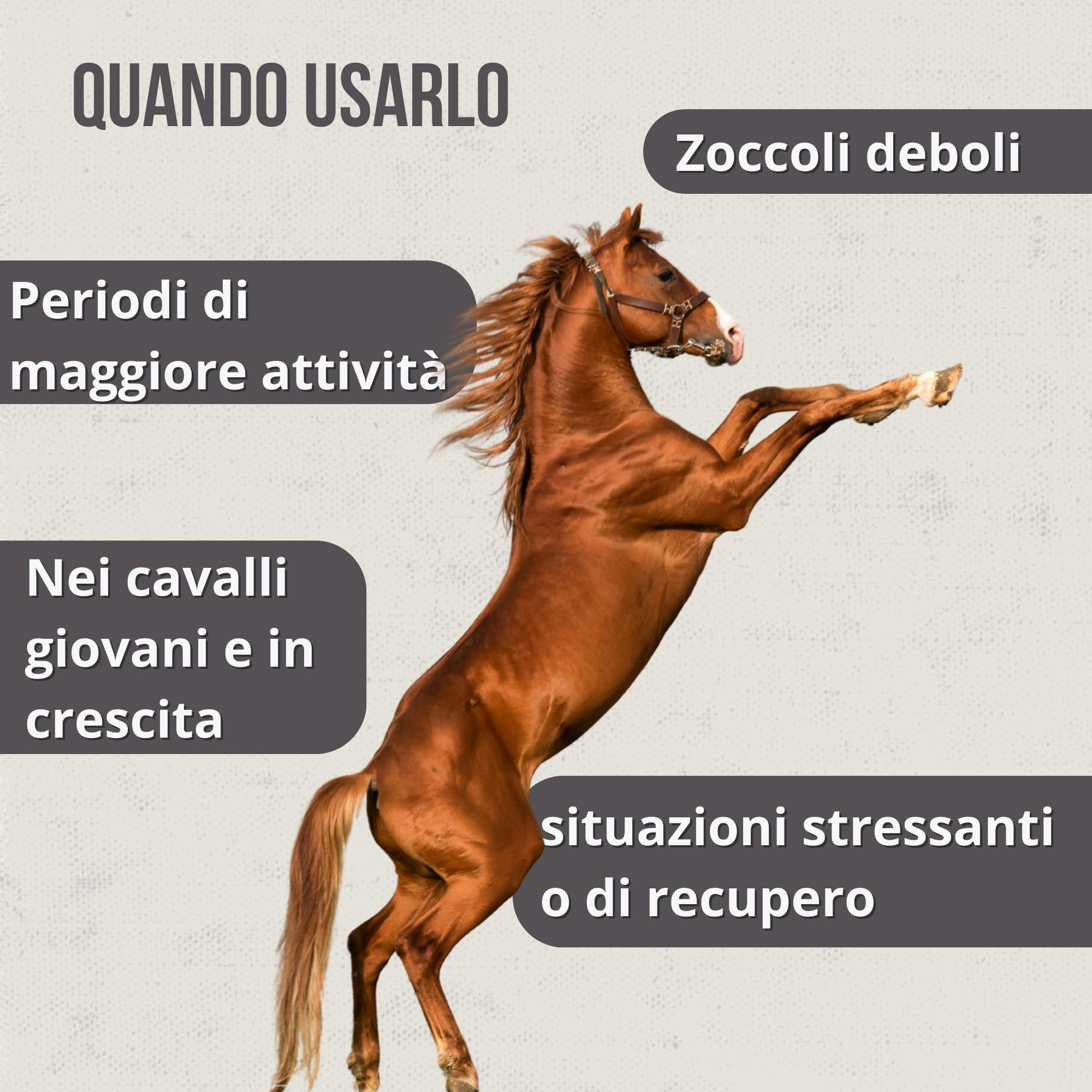 Hoofcare - Biotina e Zinco per Caschi Cavallo 750 g - Zinchi Forti e Crescita Naturale - Ideale per Caschi Fragili, Cambio di Pelliccia e Cavalli Sportivi - Cura Pelliccia, Pelle e Pelliccia Equino