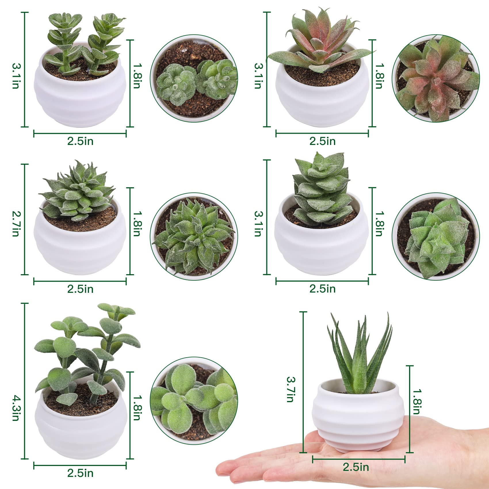 Der Rose Set of 6 Succulents Plants Artificial in Pots Small Fake Plants for Bedroom Aesthetic Living Room Office Shelf Bathroom Decor