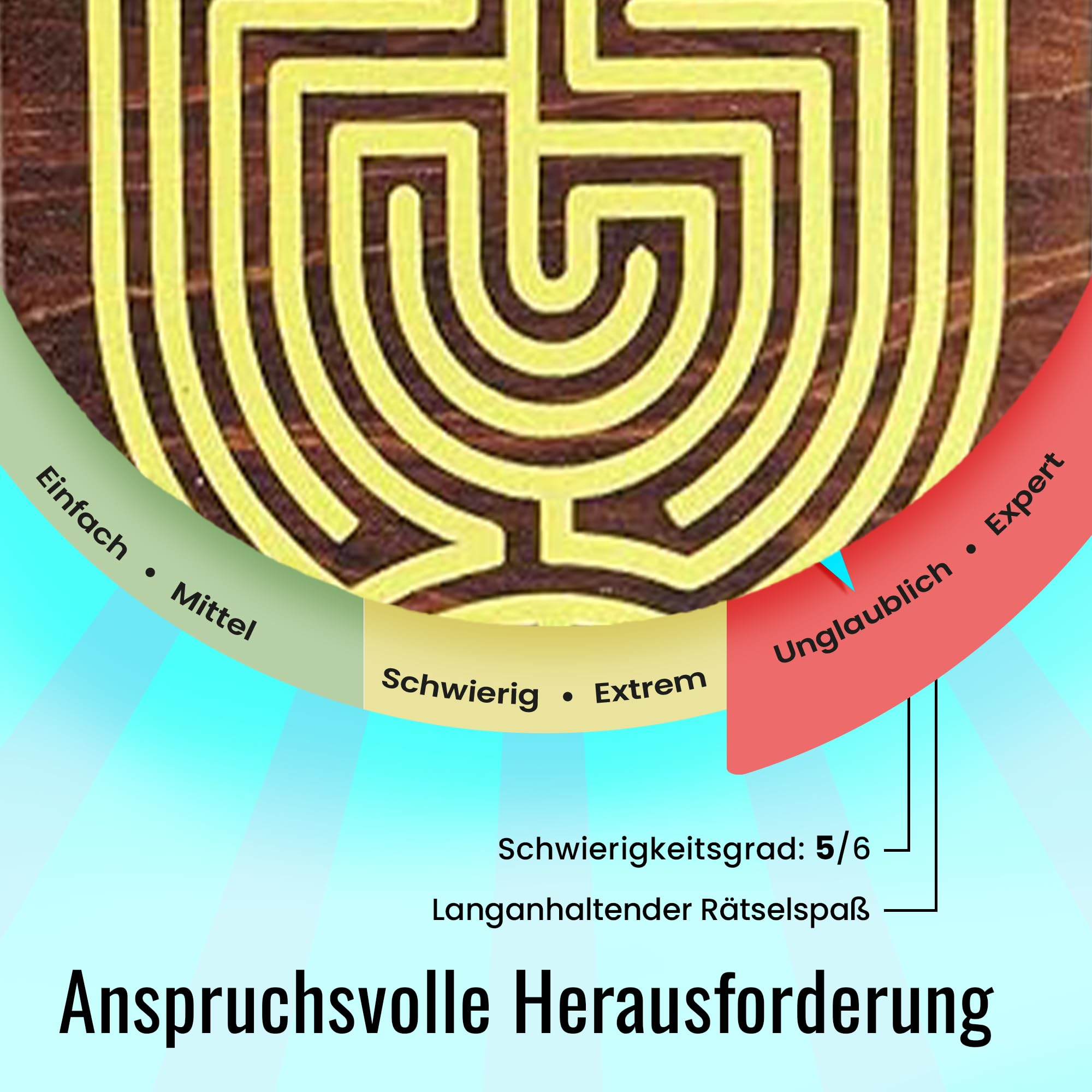 Logica Spiele Art. Labyrinth Puzzle Box - Geheimschachtel - Schwierigkeit 5/6 Unglaublich - Geschenkbox - Denkspiel aus Holz - Knobelspiel - Geduldspiel - Leonardo da Vinci Kollektion