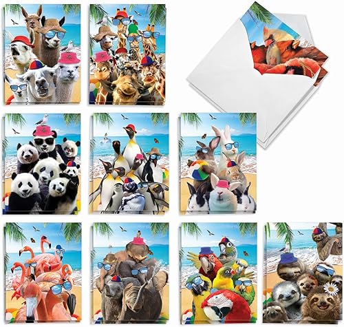 Miniatura 7 de The Best Card Company Juego de 20 tarjetas de notas divertidas en blanco surtidas en caja, 4 x 5.12 pulgadas con sobres, 10 diseños, tarjetas