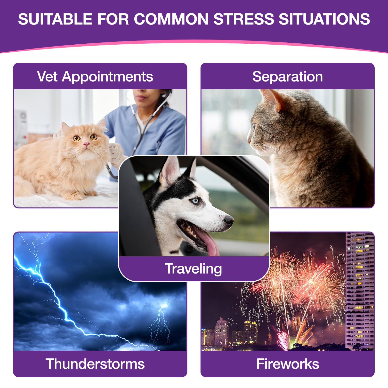 Melatonina para Mascotas, Melatonina para Perros y Gatos, 60 ml*2 Pastillas para Dormir para Perros, Ayuda a aliviar la ansiedad y el estrés, promueve la relajación y el sueño Profundo, Sabor a Pollo