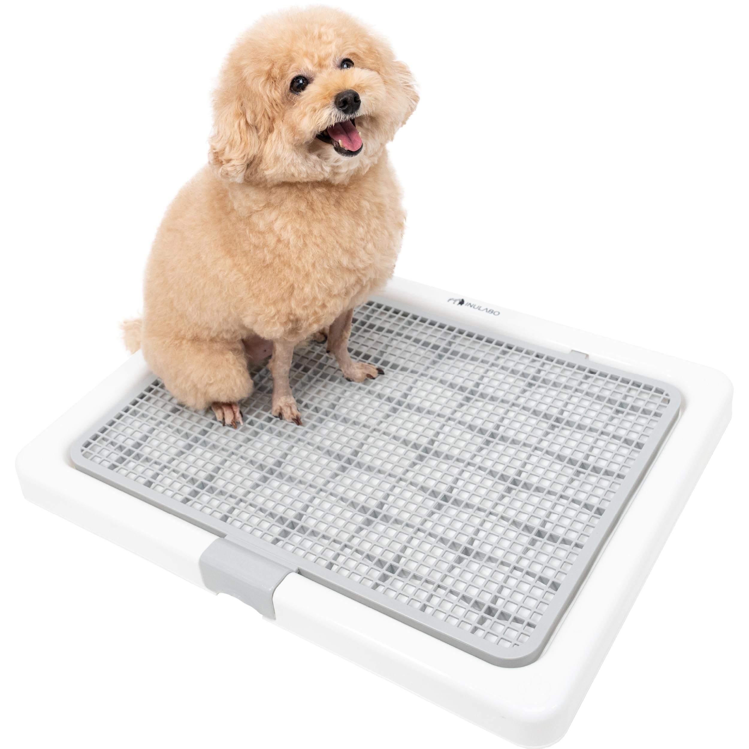 イヌラボ　高床式犬用トイレ トイレトレー　XXL Amazon | INULABO(イヌラボ) 犬 トイレ トレー 高床式 小型犬 中型犬 M