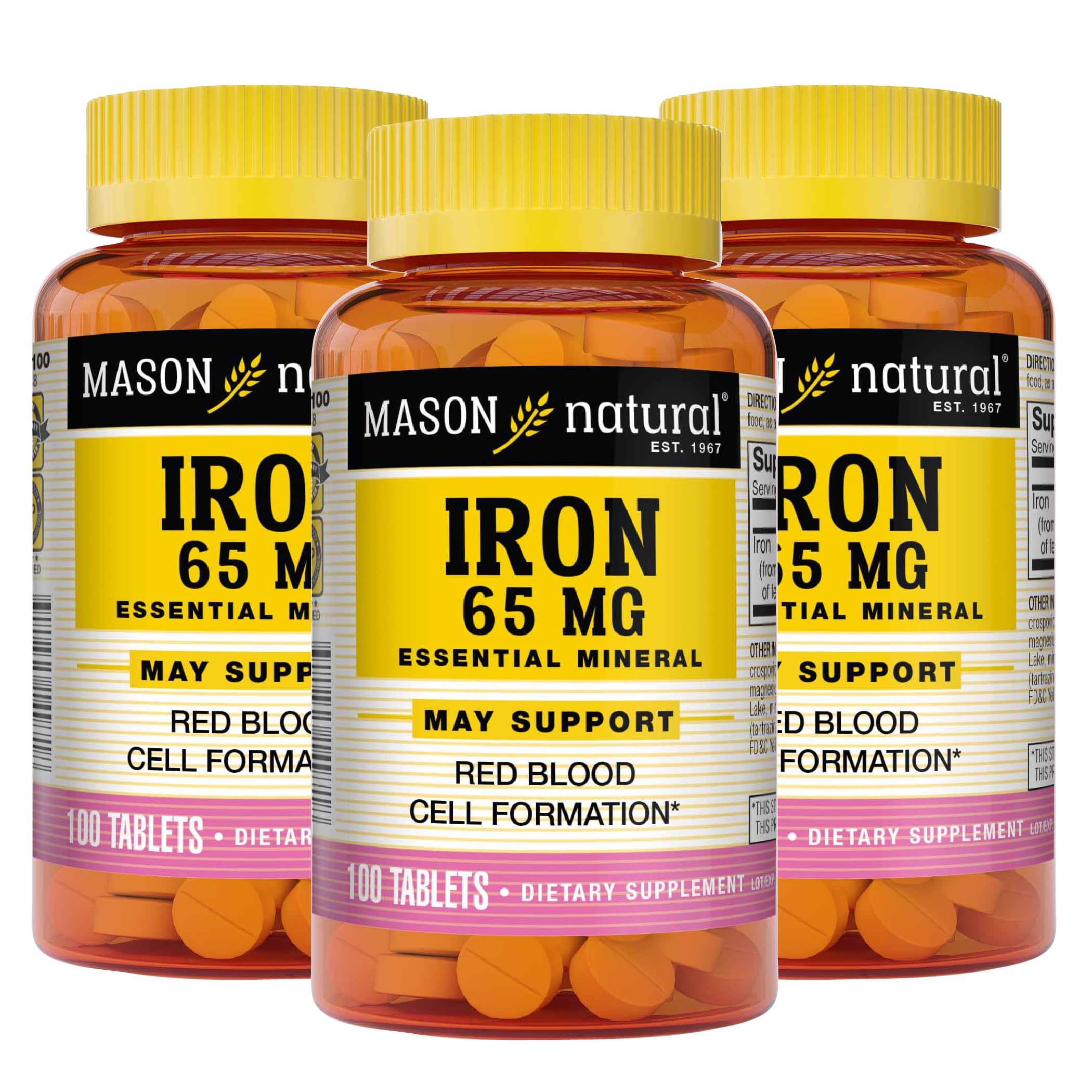 MASON NATURAL Iron 65 mg Supports Red Blood Cell Formation, Improves Energy Utilization, Essential Mineral Supplement Tabl...