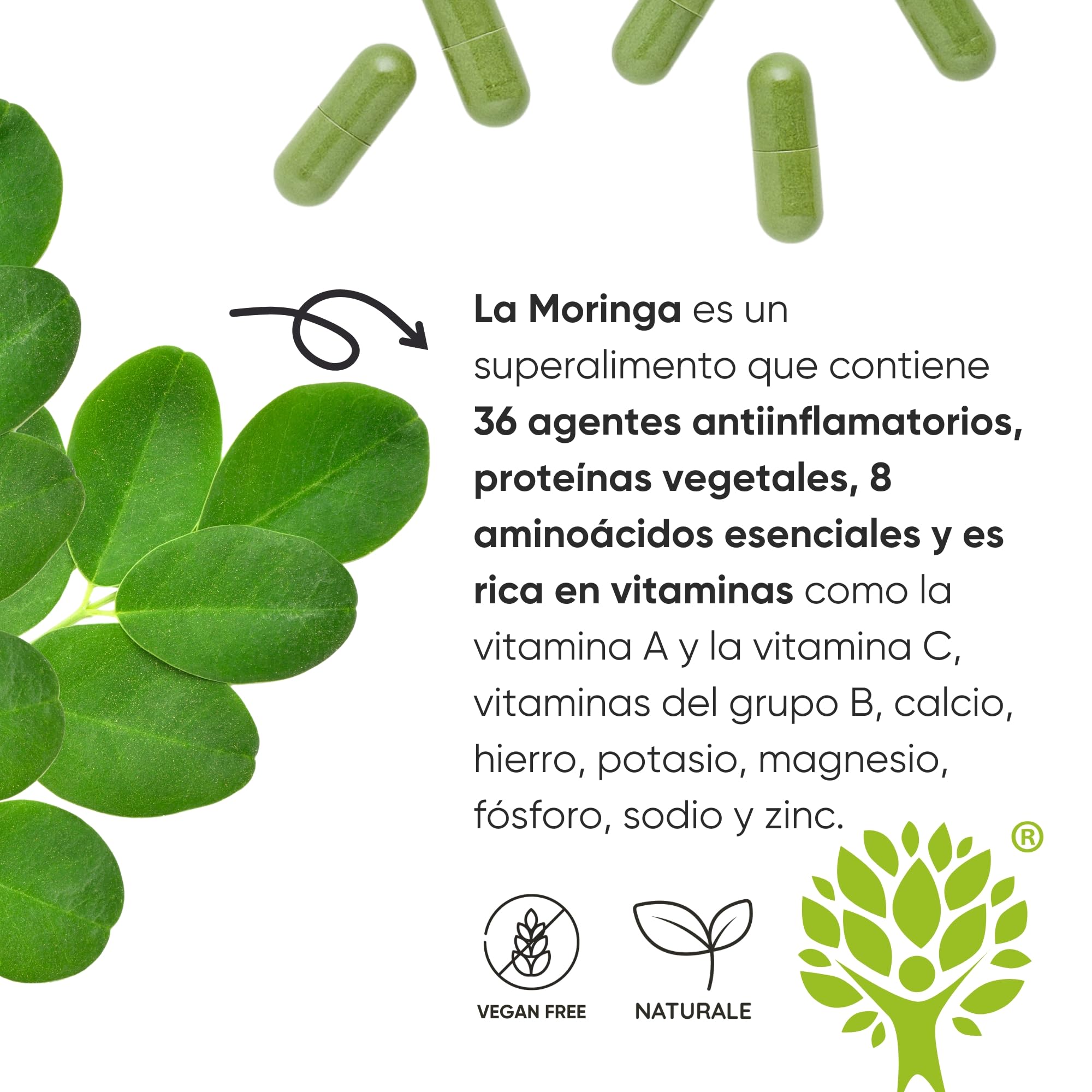 RedMoringa Moringa Oleifera Bio | Moringa Cápsulas Pura 100% Natural | Cápsulas Vegetales | Superalimento para Digestión y Metabolismo de Grasas | 270 Cápsulas Made in Italy